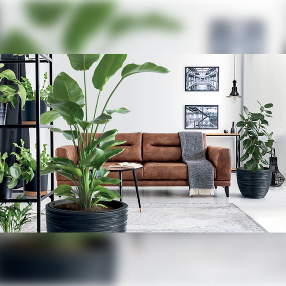 Macetero Color Antracita, Con Depósito, Colección Furu, De 56,9 X 56,9 X 44,5 Cm, Capacidad De 92 L._2