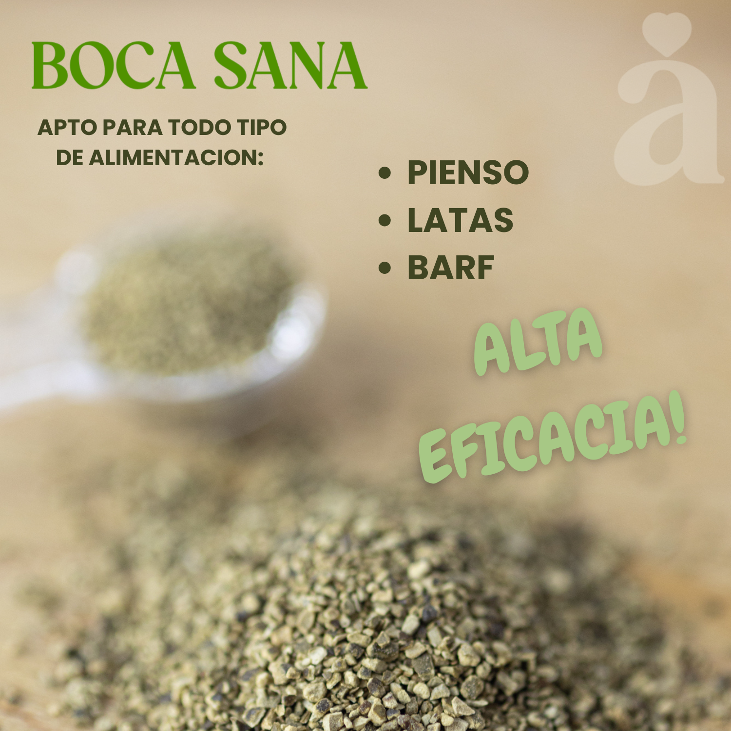Boca Sana | Ascophyllum Nodosum | Reductor Mal Aliento Perros | Higiene Dental de Perros Y Gatos_3
