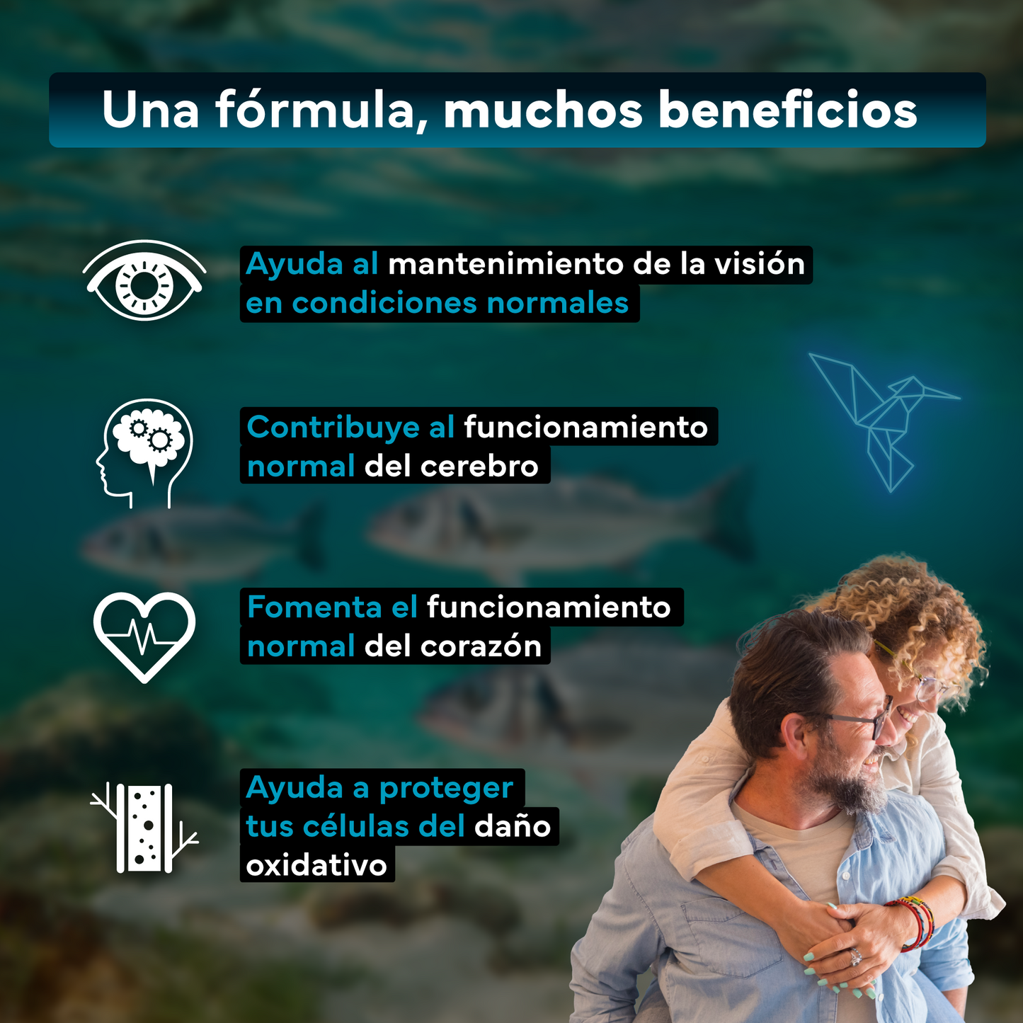 Omega 3 Sevens Nutrition. Apoyo Para Corazón Y Cerebro._2