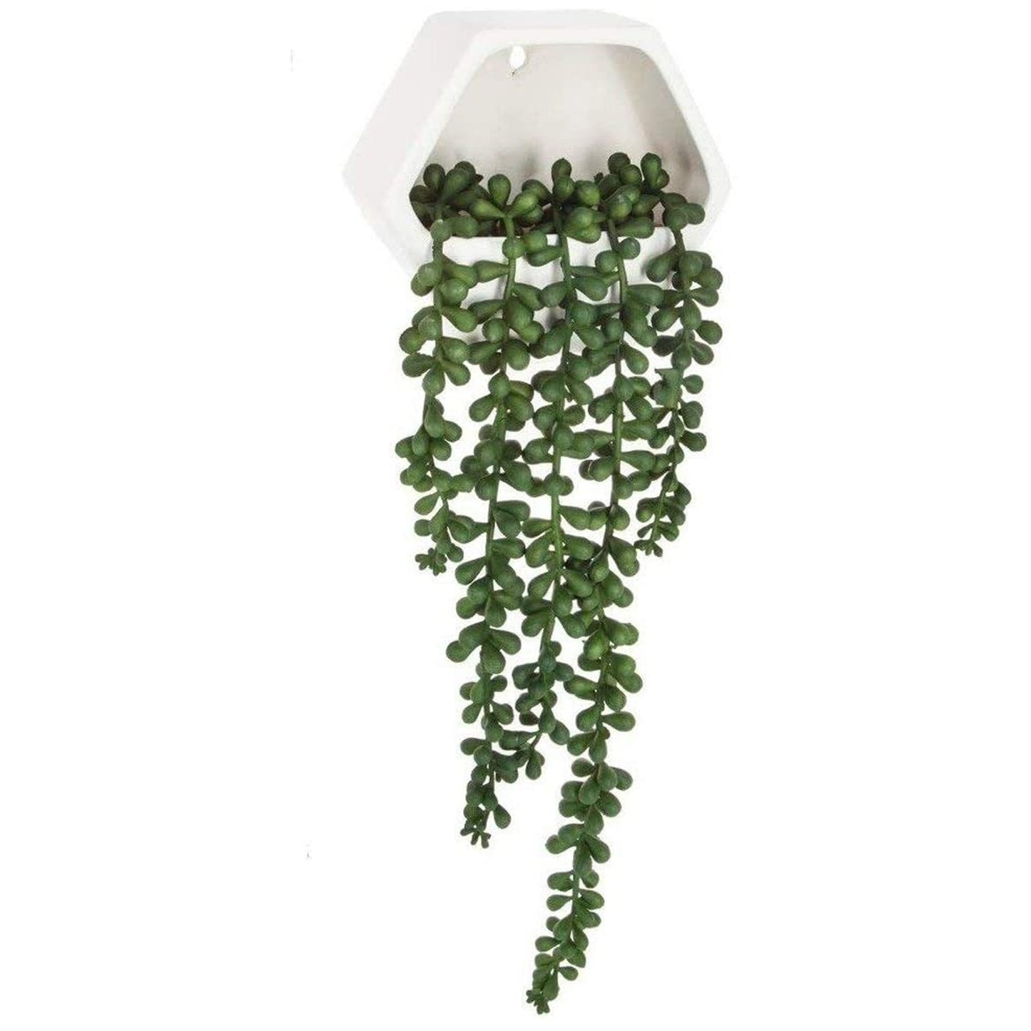 Planta Colgante De Pared Contemporánea- Altura Total Con Planta Caída: 45 Cm_0