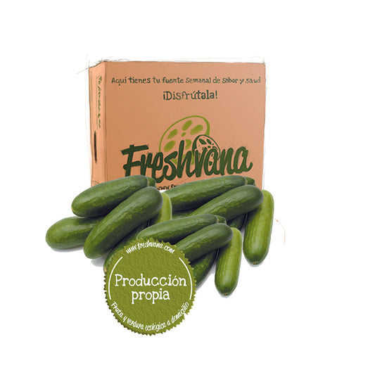 Caja De Pepino Snack Ecológico Freshvana 2 Kg_0