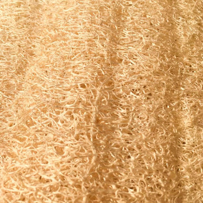 Disco Natural Y Vegetal Peeling - Para Limpieza Facial O Eliminación De Durezas - De Fibra De Luffa Cultivada En Galicia_5