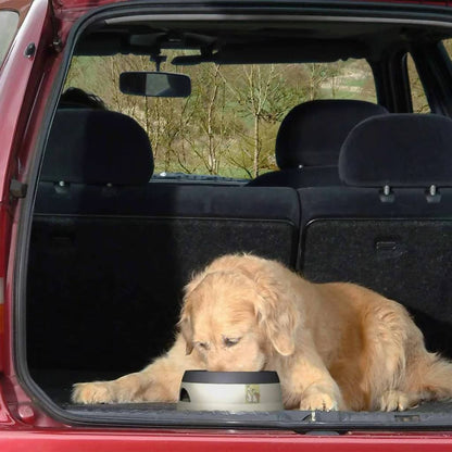 Road Refresher Bebedero De Mascotas Antiderrames Grande Gris Lbrr_3