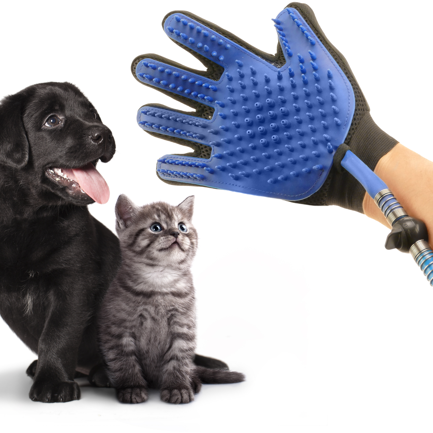 Guante De Agua Limpiador De Perros. Ducha Manual Para Mascotas Con Manguera Y Adaptadores_2