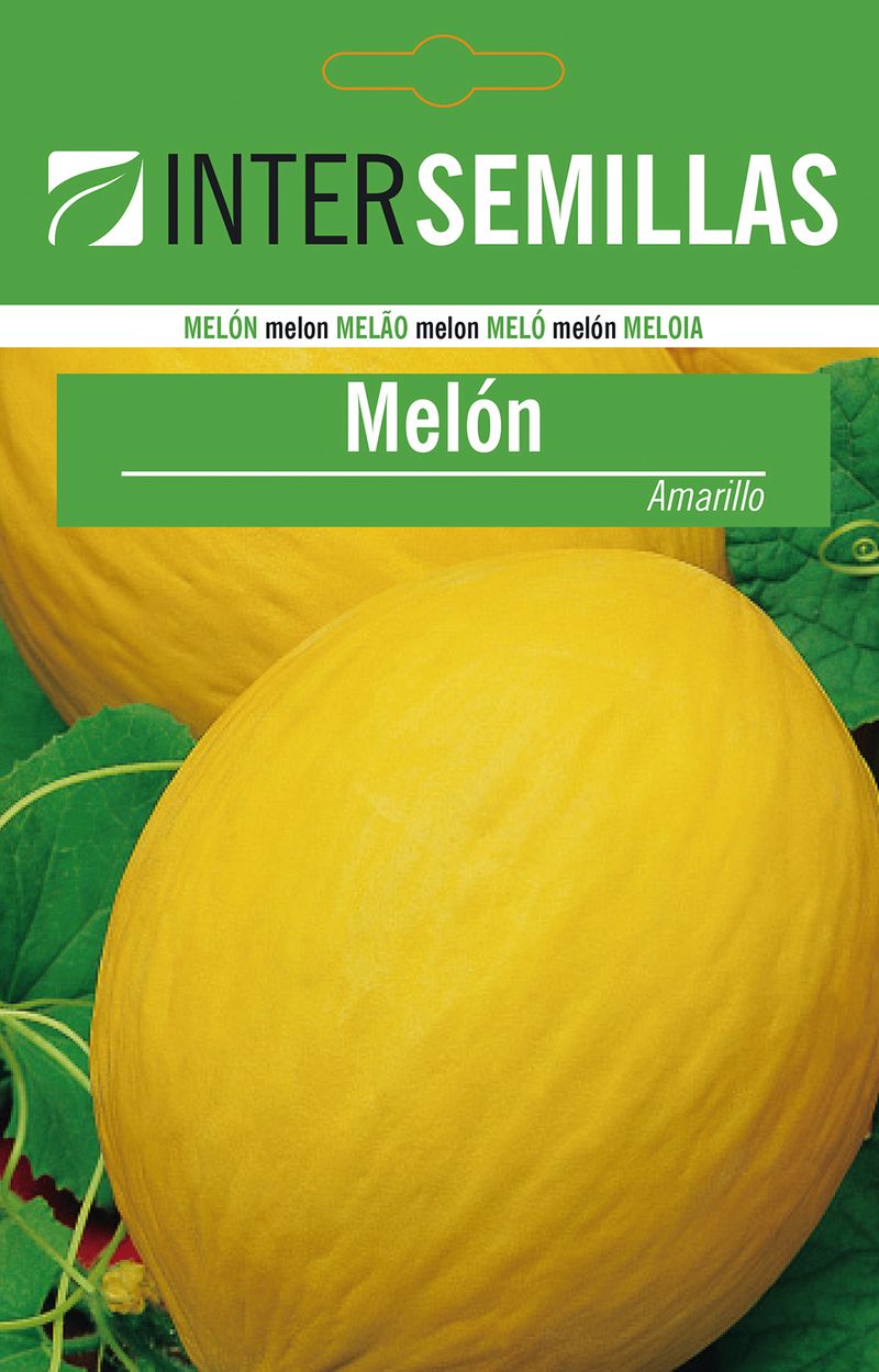 Sobre De Semillas Melon Amarillo_0