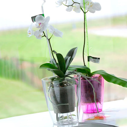 Maceta Coubi Orchid 2,4l., Dimensiones (mm) 160x160x183, Color Verde Transparente_3