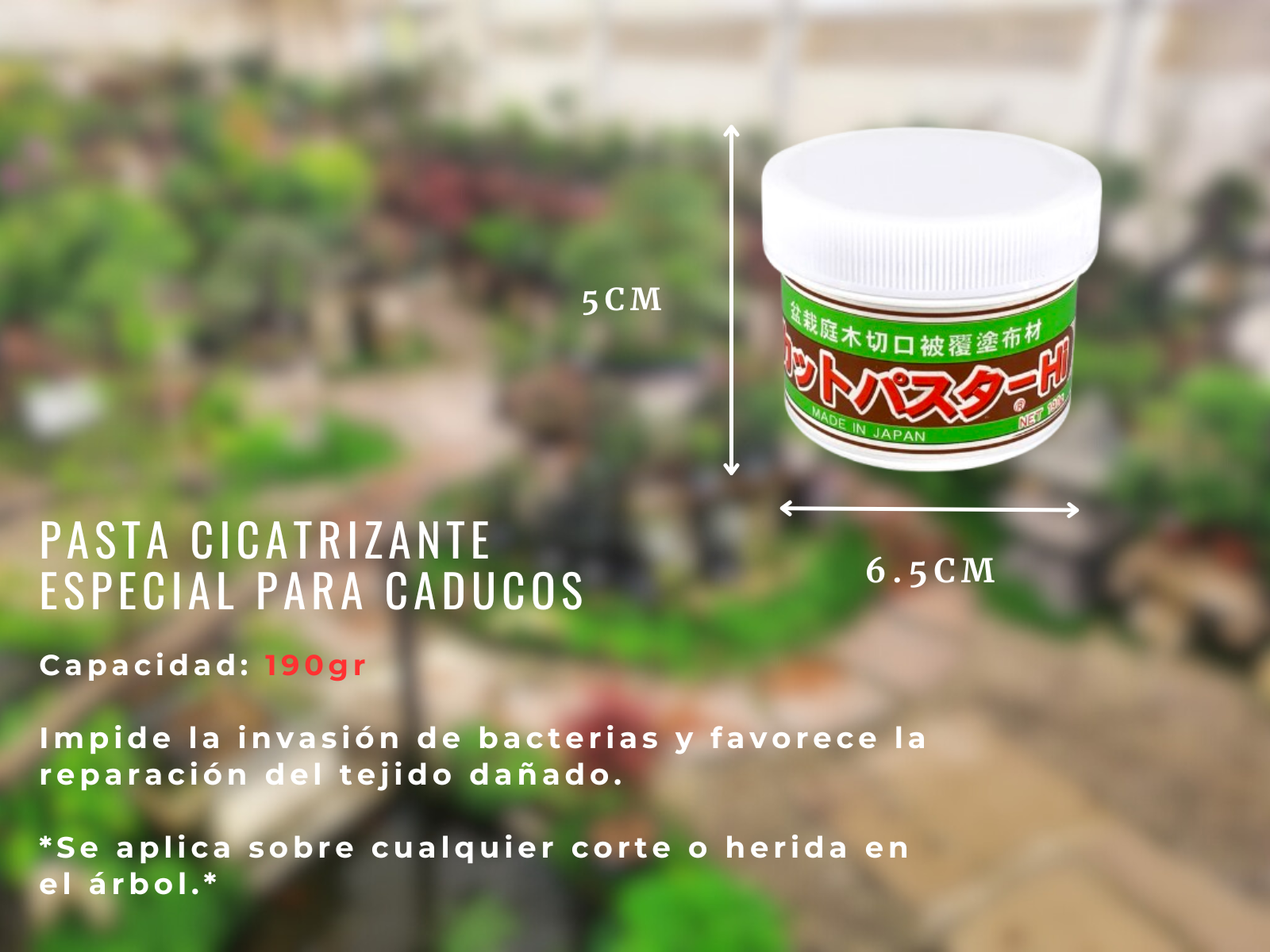 Pasta Selladora Kaneshin Para Bonsáis - Especial Caducos 190g_5