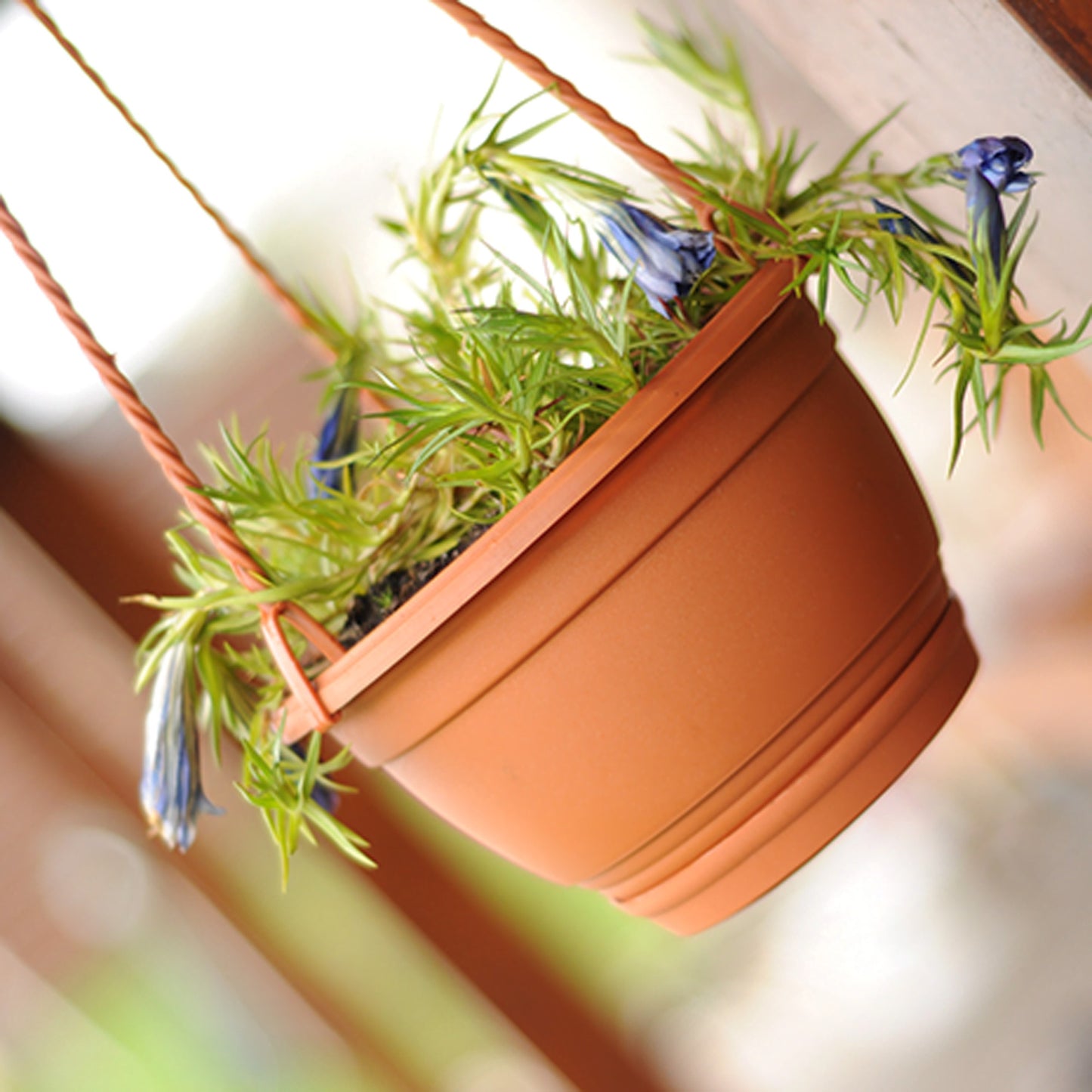 Macetero Colgante Agro 0,8l., Dimensiones (mm) 160x160x100, Color Terracota_2