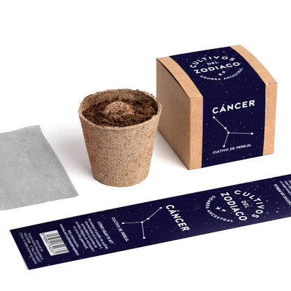 Cultivos Del Zodiaco – Cáncer | Kit De Cultivo Con Semillas De Perejil_3