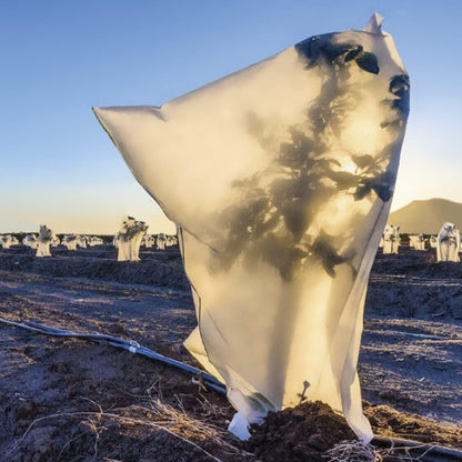 Capucha protectora antiheladas con cordón 17 g/m2 Biotop 2 ud