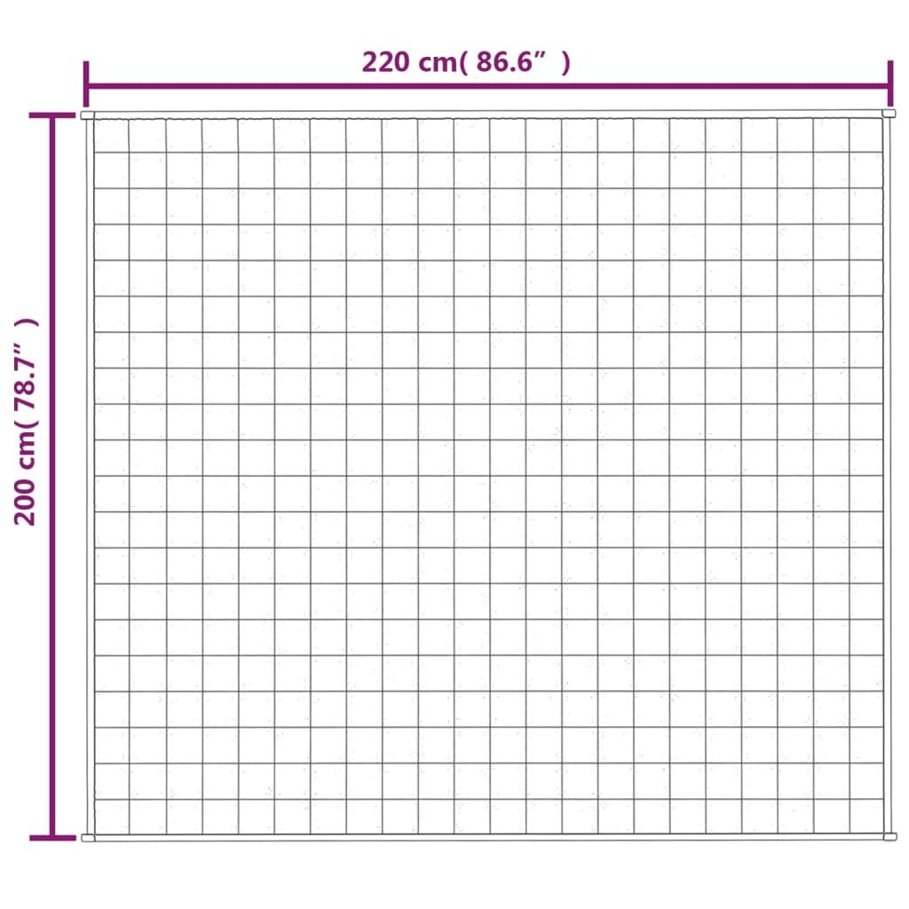 Vidaxl Manta Con Peso Tela Color Crema Claro 200x220 Cm 13 Kg_2