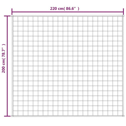 Vidaxl Manta Con Peso Tela Color Crema Claro 200x220 Cm 13 Kg_2