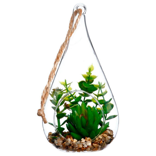 Planta + Glass Drop H19.5_0