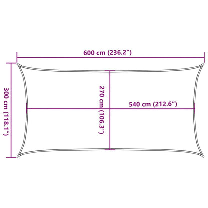 Vidaxl Toldo De Vela Rectangular Hdpe Gris Claro 160 G/m² 3x6 M_2