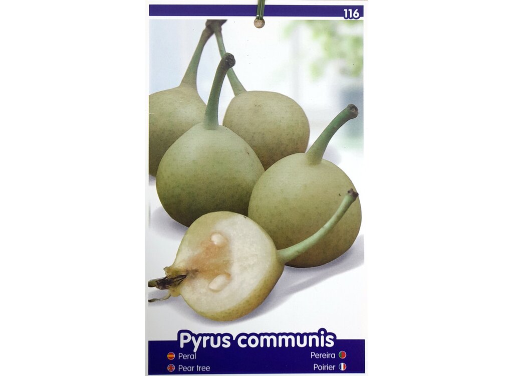 Peral Peretero M25 100cm