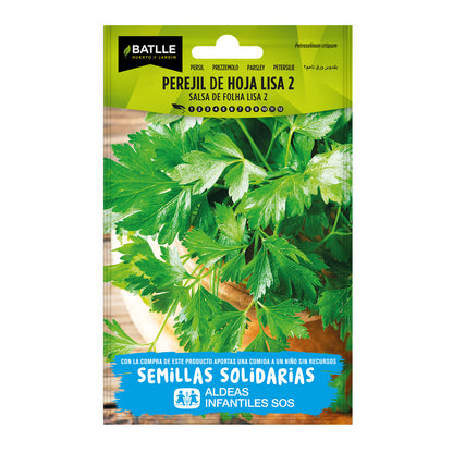 Semillas de Perejil de hoja lisa 2 BatlleBio ALDEAS INFANTILES