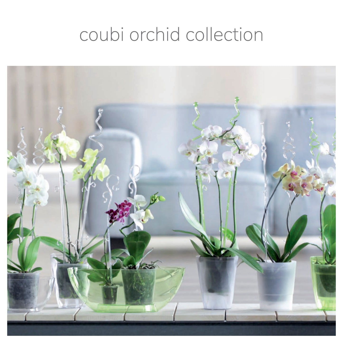 Maceta Coubi Orchid 3,8l., Dimensiones (mm) 360x150x132, Color Transparente_1