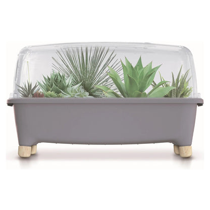 Huerto Doméstico/Jardinera Baja con Tapa de Policarbonato para Proteger tus Plantas - Prosperplast Respana Planter Wood Low de Plástico_2