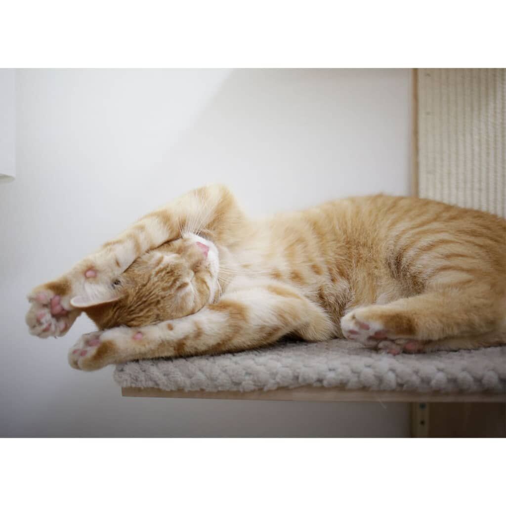 Kerbl Rascador Para Gatos Timber Wall Color Natural Y Gris Taupe 150cm_4