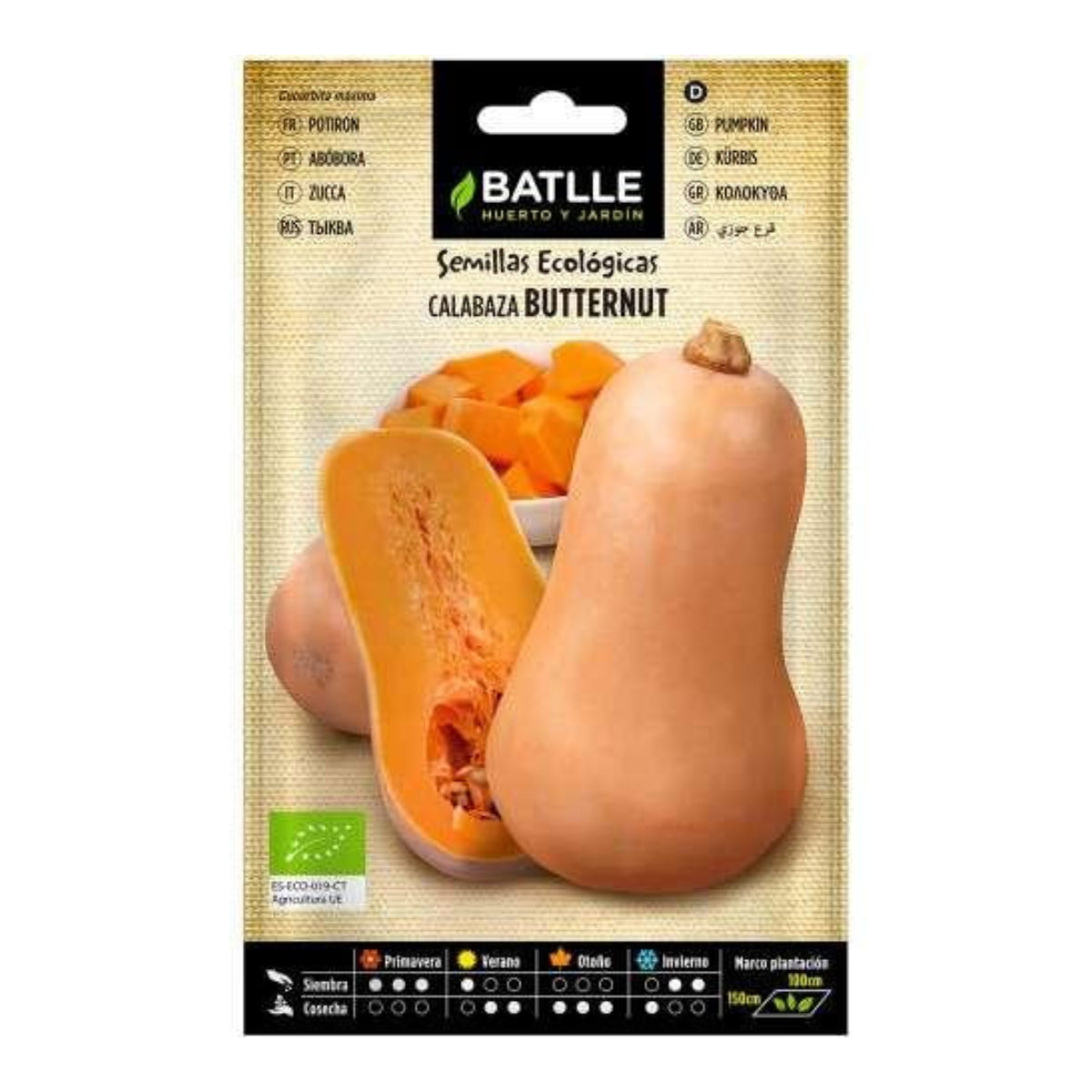 Semillas ecológicas de  Calabaza butternut