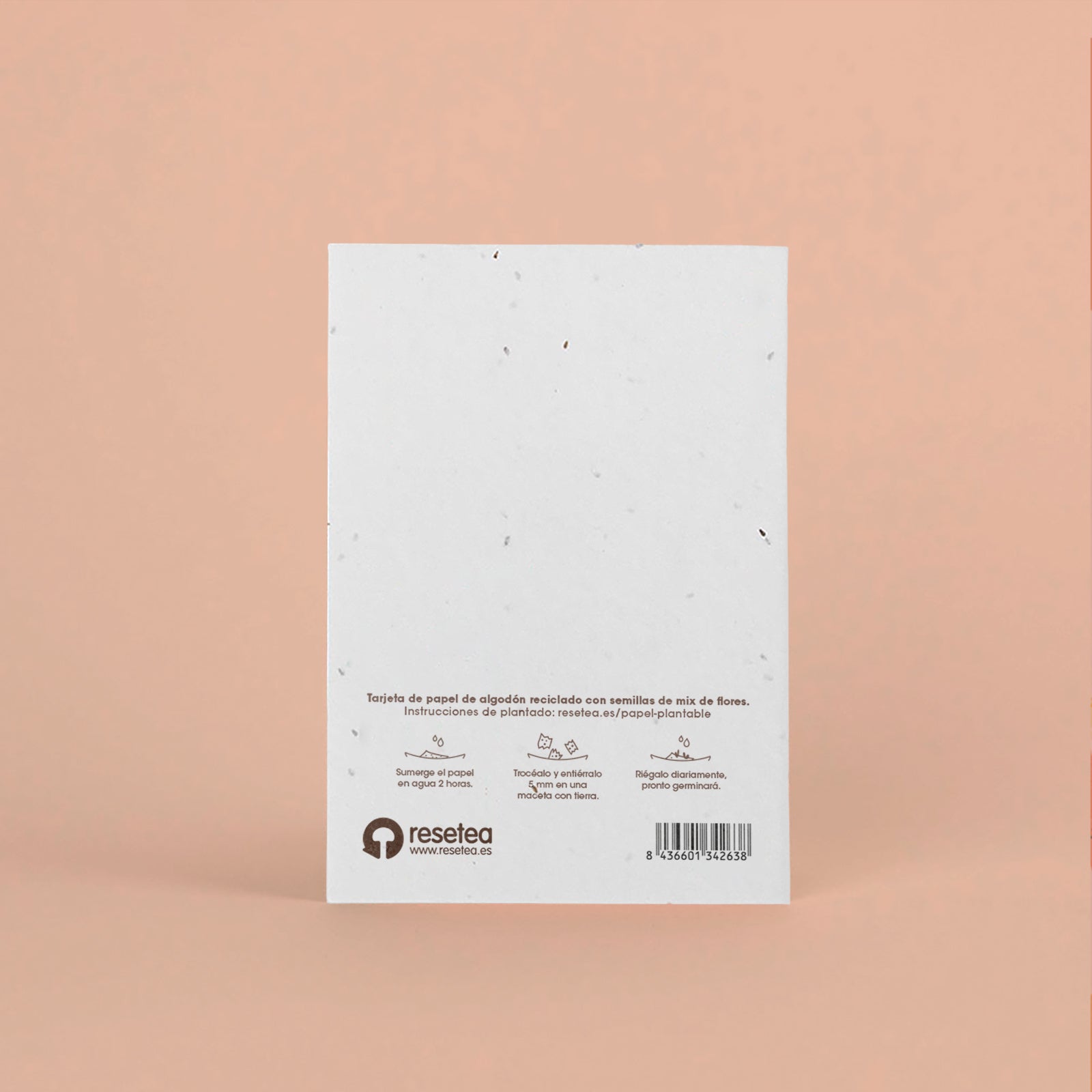 Postal Plantable "Que la Naturaleza te Acompañe" con Semillas de Flores – Tarjeta Original - Resetea_1