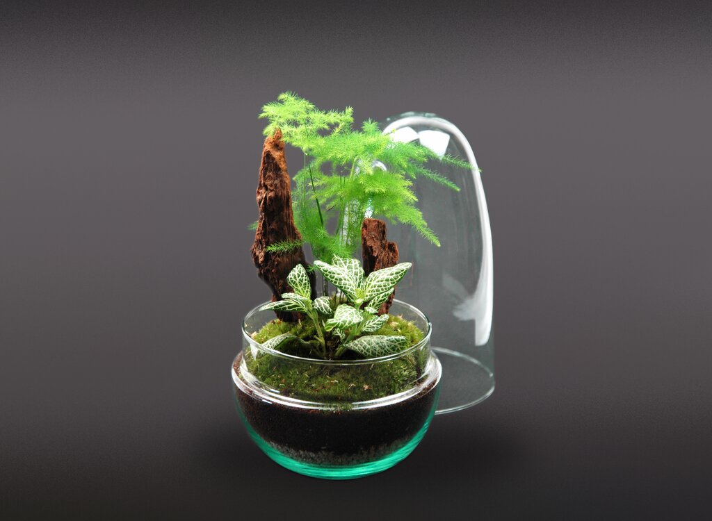 Nanogarden Egg Aspafitt 13x25cm_1