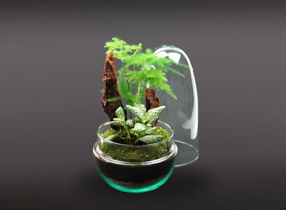 Nanogarden Egg Aspafitt 13x25cm_1