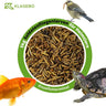 Larvas De Mosca Soldado 5kg, Hermetia Illucens Entera Y Seca, Alimento Para Aves Insectívoras