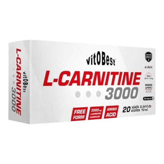 l-carnitine scientific exploration Core Nutritionals Liquid L-Carnitine