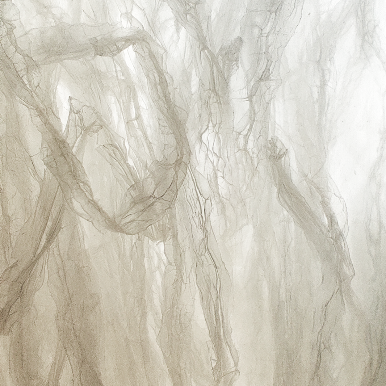 Agar Agar En Tiras Marma 20g_1