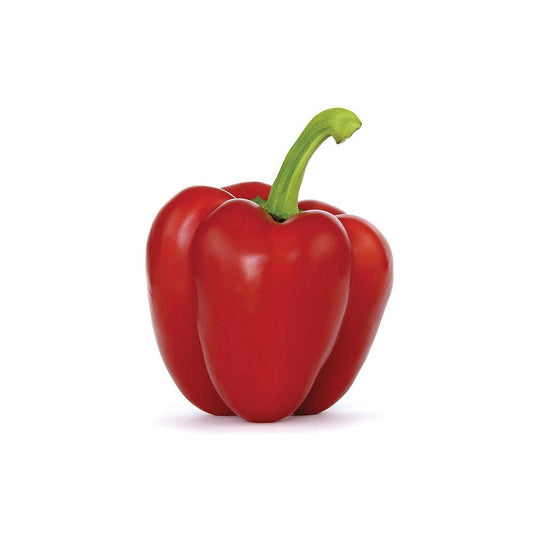 Pimiento California Rojo M11 (capsicum Annuum)_0