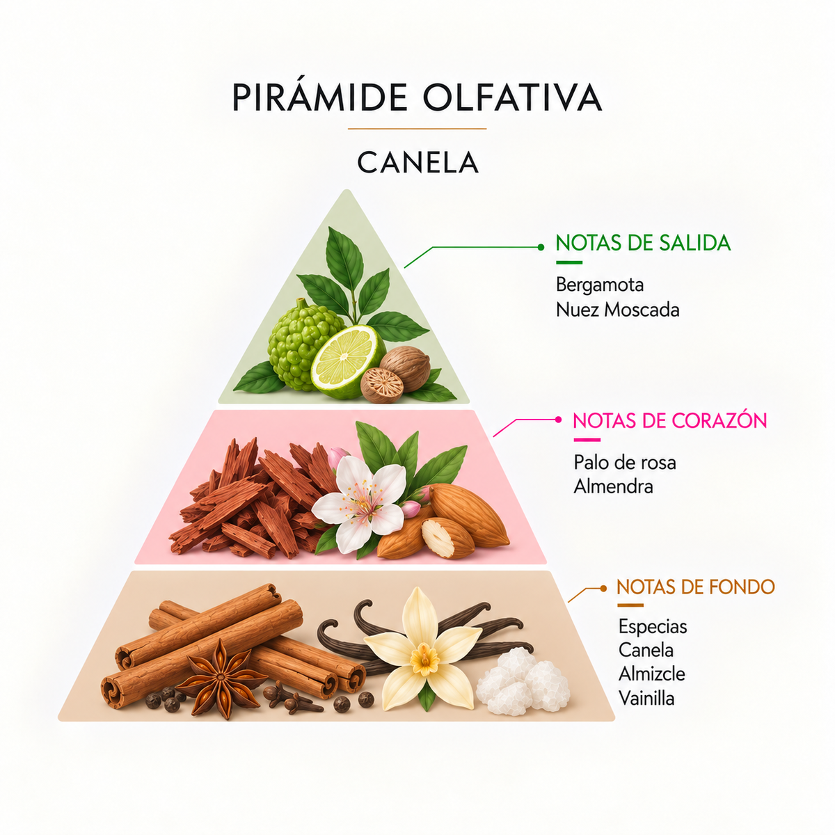 Incienso Natural Canela SYS Aromas | 20 Sticks | Aroma Especiado y Oriental | Carbón Vegetal, Resinas y Bambú_1