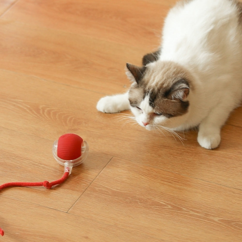Intimeg - Juguete Para Gatos Pelota Automática Para Gatos_3