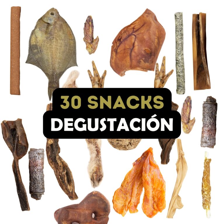 Bimordiscos Pack Degustación Mensual: 30 Snacks Para Perros_1