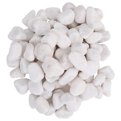 Vidaxl Guijarros Pulidos Blancos 25 Kg 2-5 Cm_2