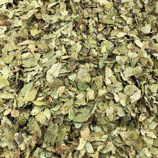 Hojas De Arándano Orgánico Granel 0,25 Kg_0