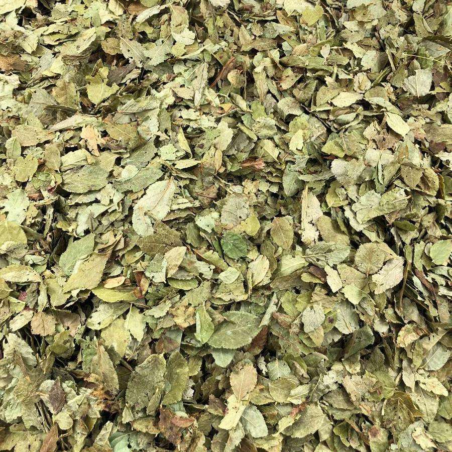 Hojas De Arándano Orgánico Granel 0,5 Kg_0