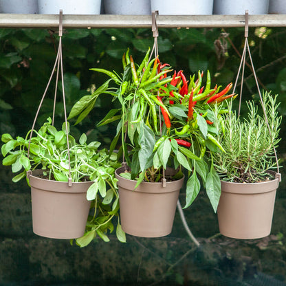 5 Macetas Cilíndricas Ø 10 Cm Con Ganchos, De Polipropileno Antracita
