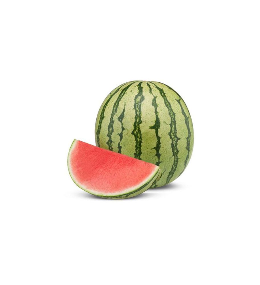 Plantón Sandia Sin Pepitas, Injertada En Calabaza (5 Unidades)_0