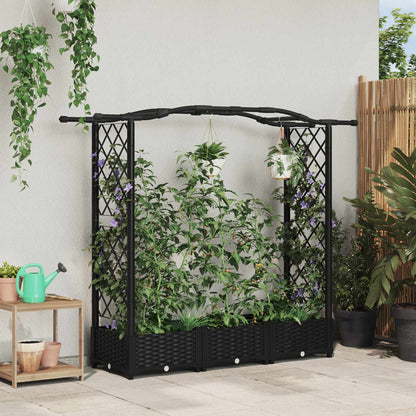 Cama Elevada Con Trellis Y Techo Negro 169 X 40 X 123 Cm Pp_1