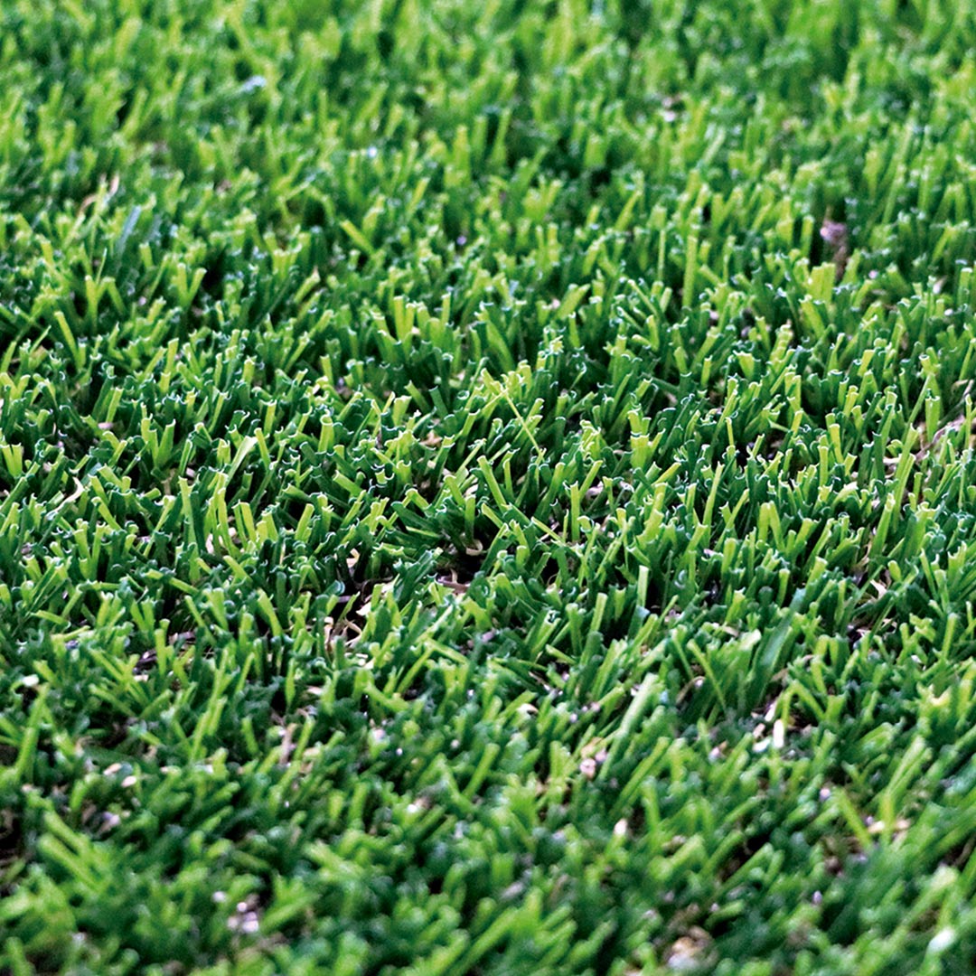 Césped Denia Xtra S30 - Aspecto Natural Y Alta Recuperación - 2x10 M - Multicolor_0