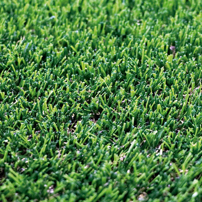 Césped Denia Xtra S30 - Aspecto Natural Y Alta Recuperación 2x10 M / Multicolor_0