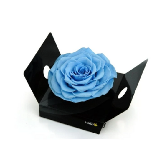 Rosmelia Azul Claro De 12cm Preservada_0