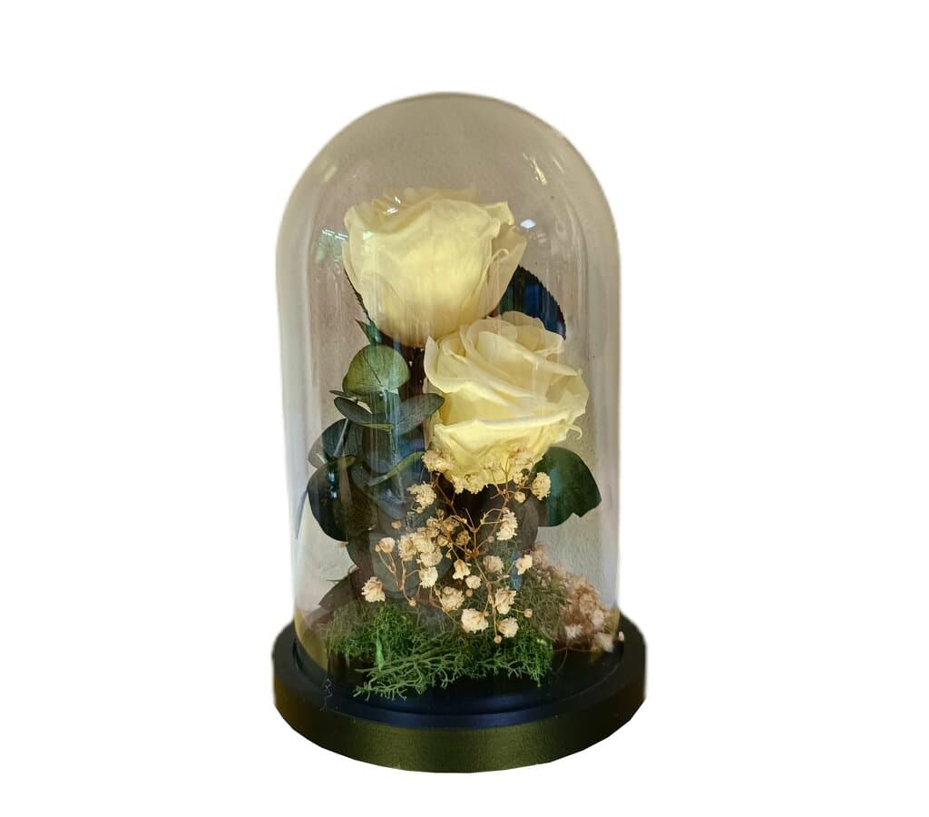 Cúpula 2 Rosas Champán 12x20cm_0