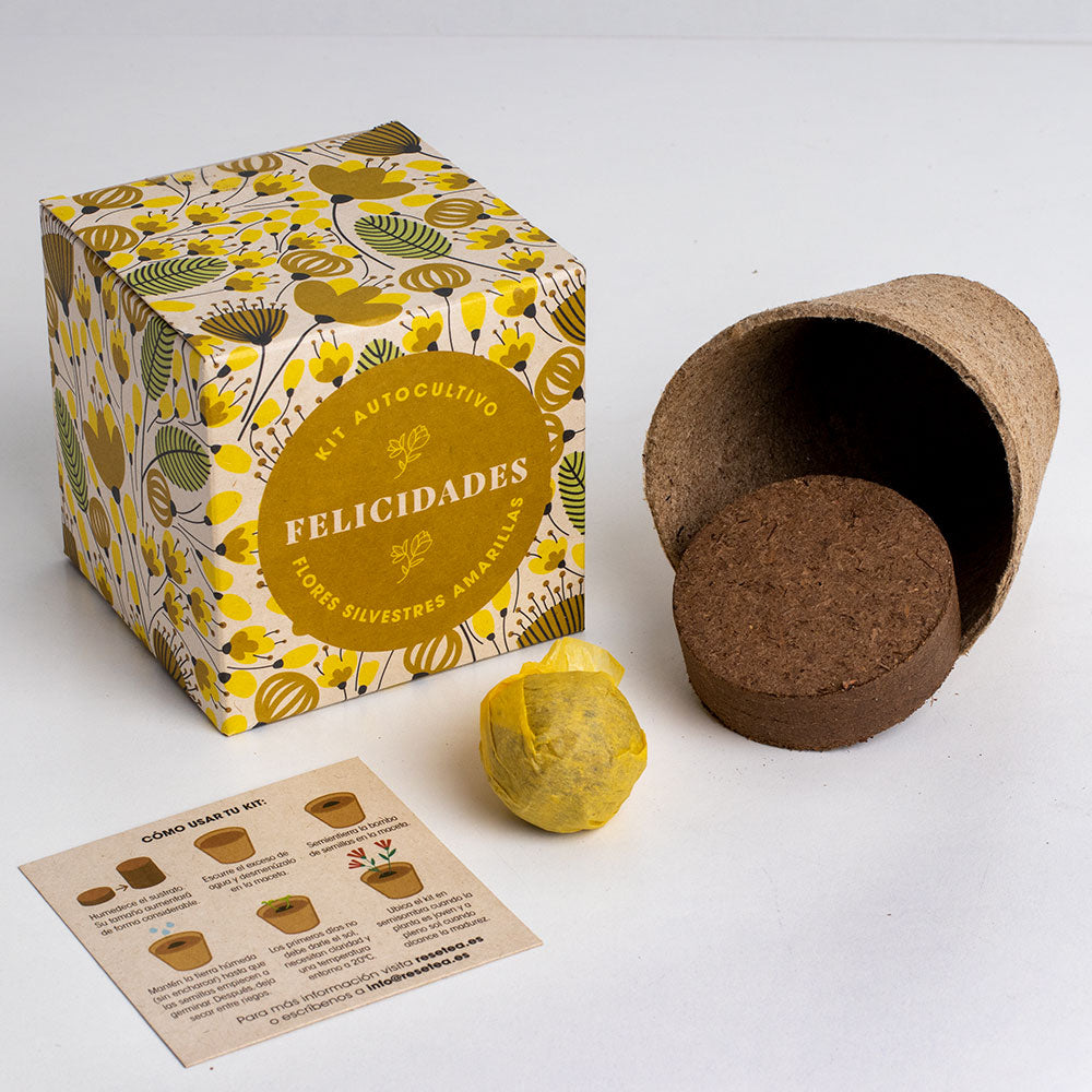 Díselo con Flores "Felicidades" Kit Autocultivo Flores Silvestres Amarillas - Resetea_1