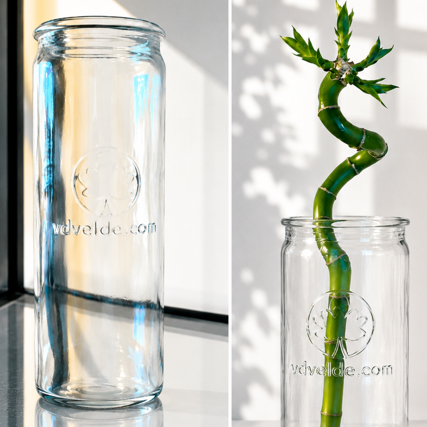 Lucky Bamboo (bambú) 3x Dracaena Sanderiana - Planta, Vidrio Y Piedras - 40-45cm_3
