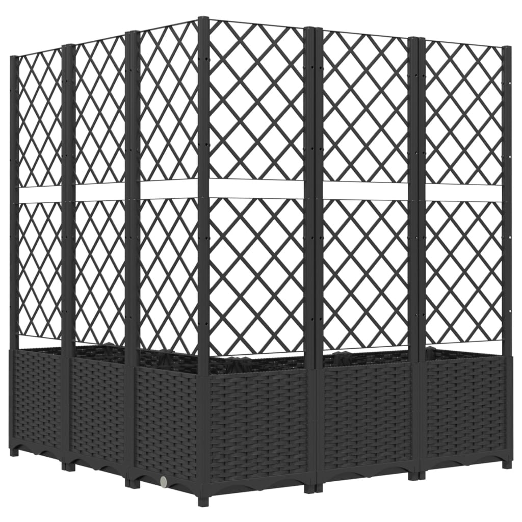 Jardinera Con Enrejado Pp Negro 120x120x136 Cm_2