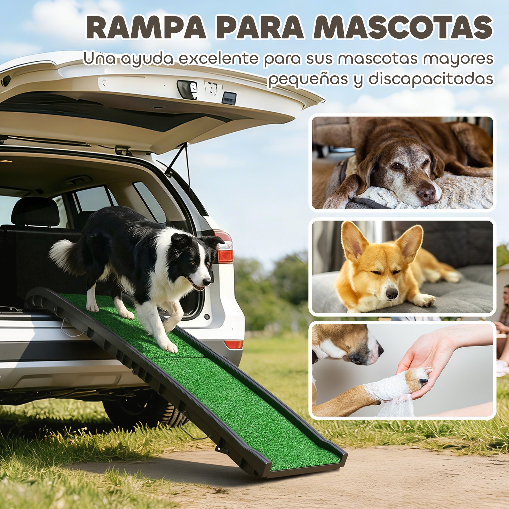 Pawhut Rampa Para Perros Con Césped Artificial_3