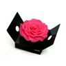 Mundo Eterno Rosmelia Preservada Rosa 12cm