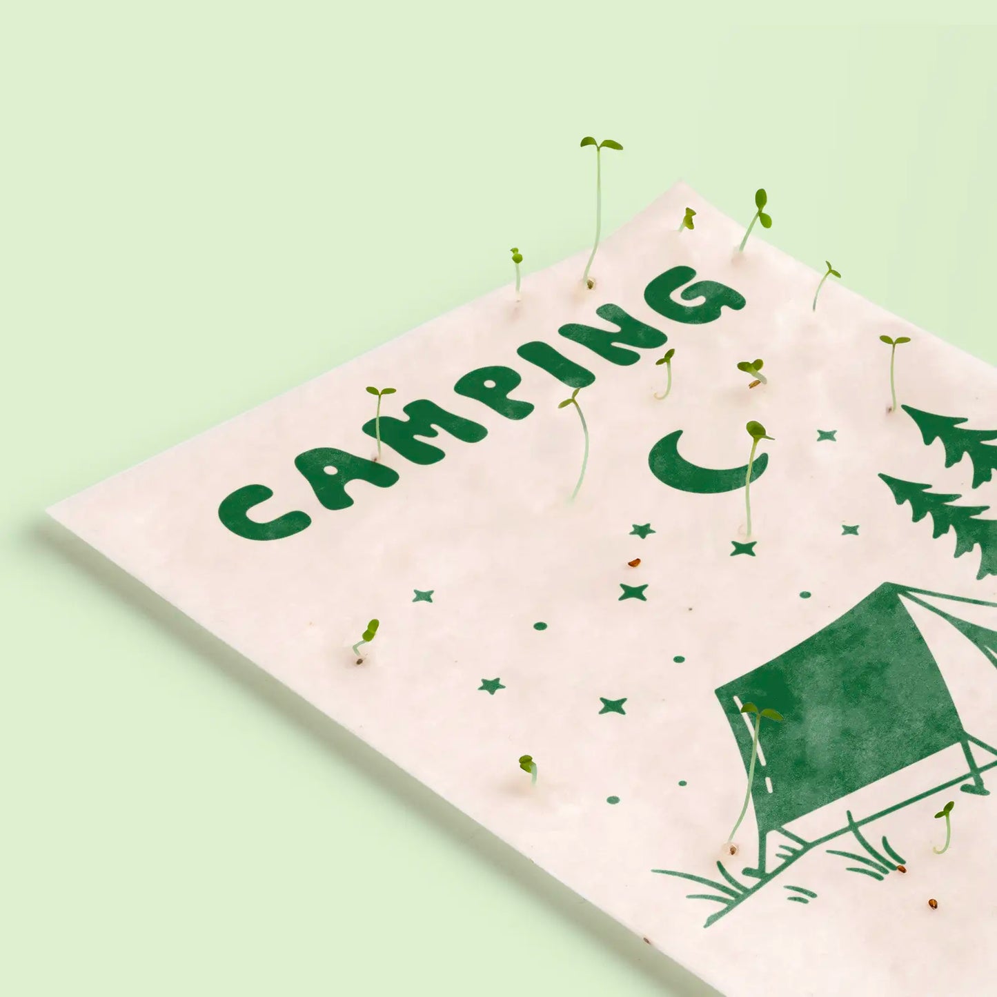 Postal Plantable Camping Semillas de Manzanilla | Papel de Algodón Reciclado | Regalo Original - Resetea_2